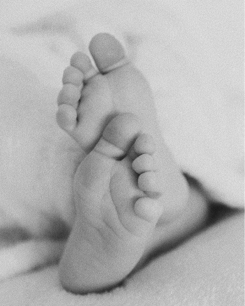 Instagram.com/arya.saloka