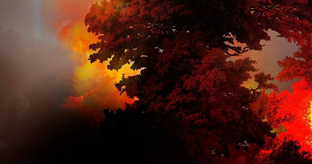 Freepik/Rawpixel-com