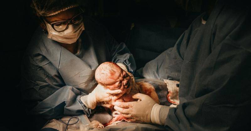 Pexels/JonathanBorba