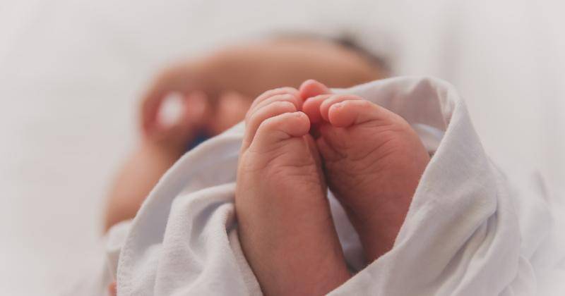 Ilustrasi - Unsplash/LumaPimentel