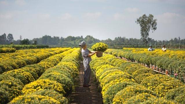 Pexels/quang-nguyen-vinh-222549
