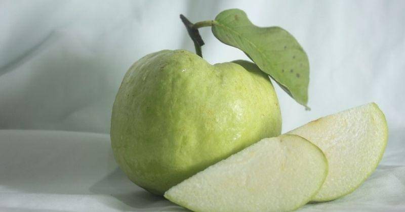 Pxhere/CC0 Public Domain