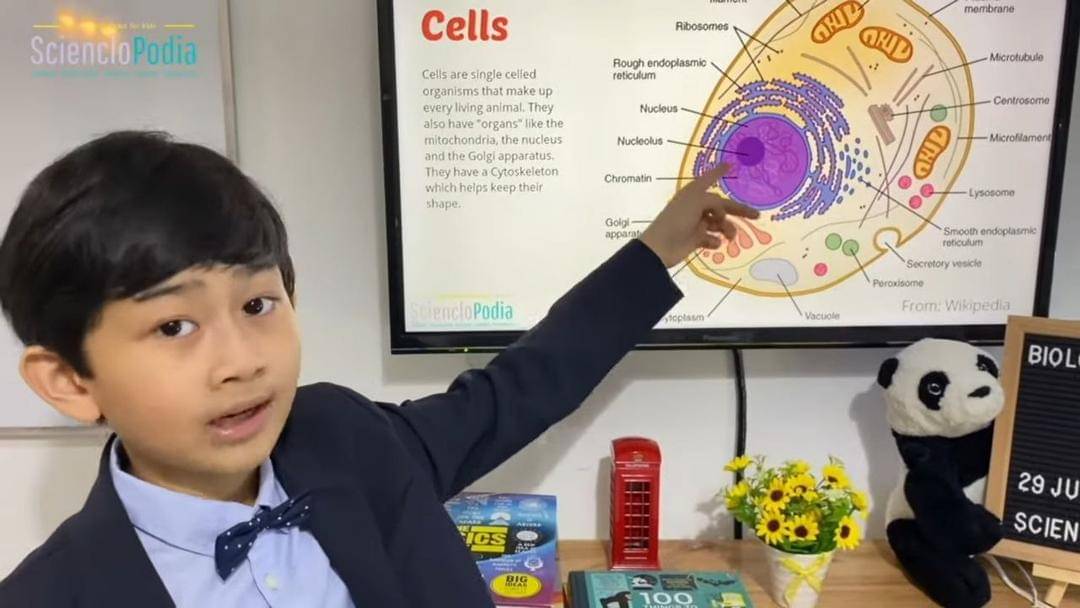 Youtube.com/SciencloPodia