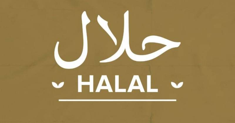 Dok. IDN Times/Arief Rahmat