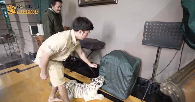 Youtube.com/Alshad Ahmad