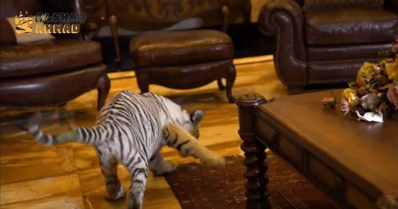 Youtube.com/Alshad Ahmad