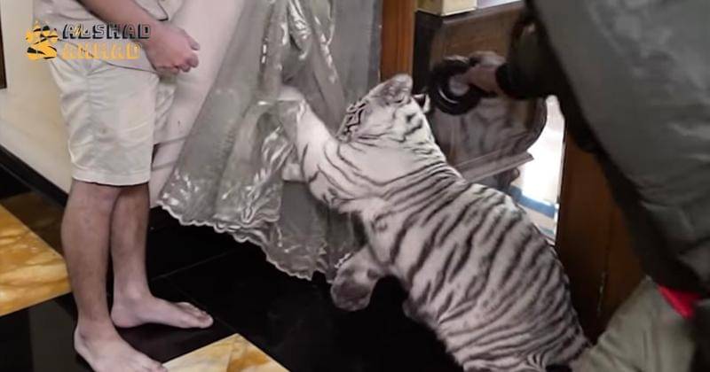 Youtube.com/Alshad Ahmad