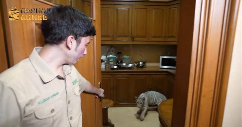 Youtube.com/Alshad Ahmad