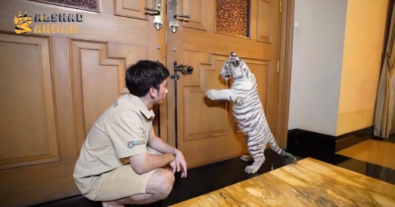 Youtube.com/Alshad Ahmad