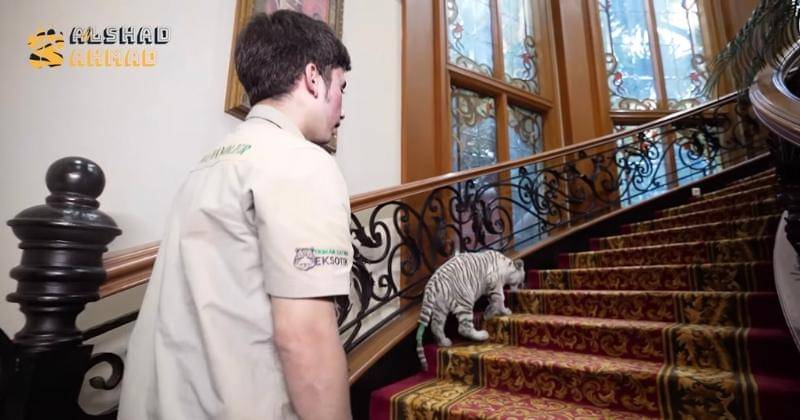 Youtube.com/Alshad Ahmad