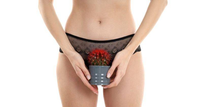 Freepik/Atlascompany