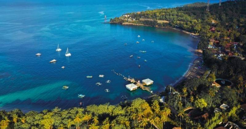 Unsplash/Tandya Rachmat