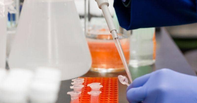 Pexels/Mediocrememories