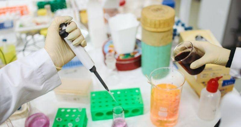 Pexels/Polina-tankilevitch