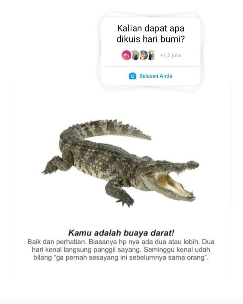 Twitter.com/penerapanbacot