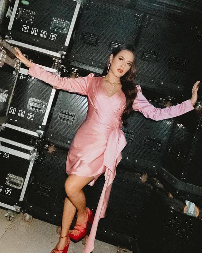 Instagram.com/raisa6690