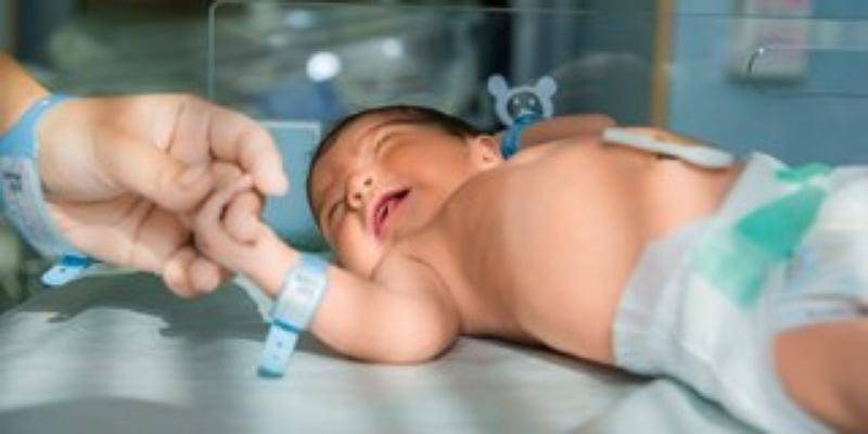 Freepik/KamranAydinov