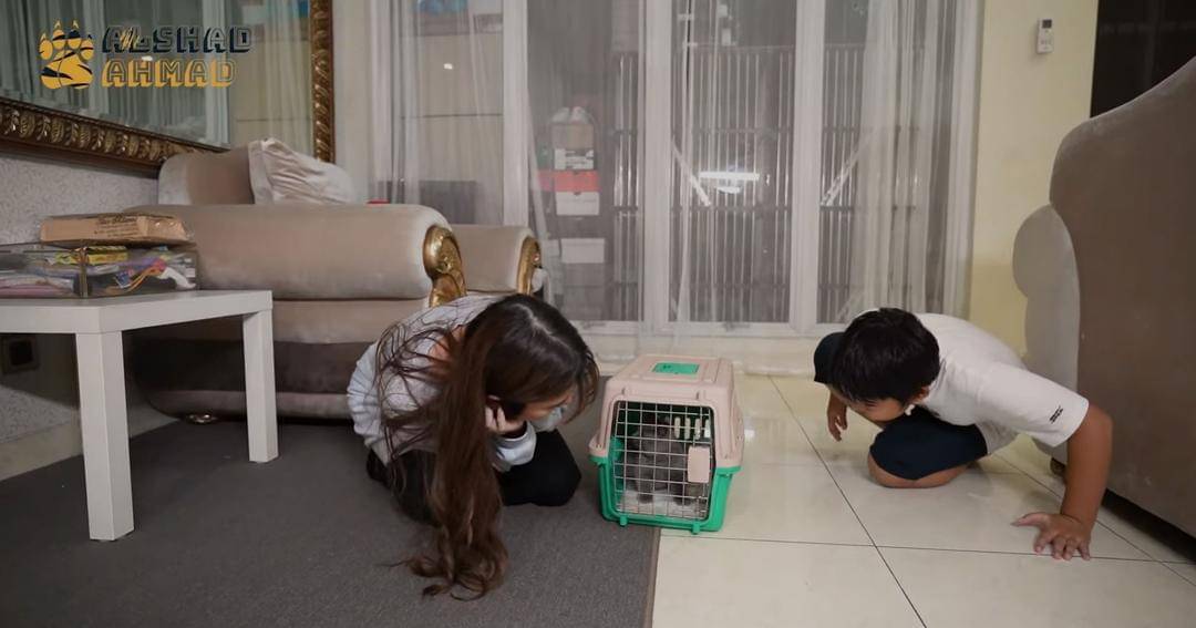 Youtube.com/Alshad Ahmad