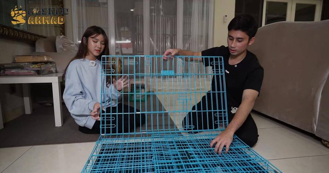 Youtube.com/Alshad Ahmad