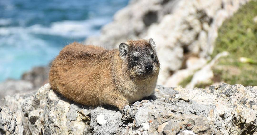 Pixabay/SparklingGirl