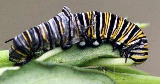 emotusoperandi.medium.com