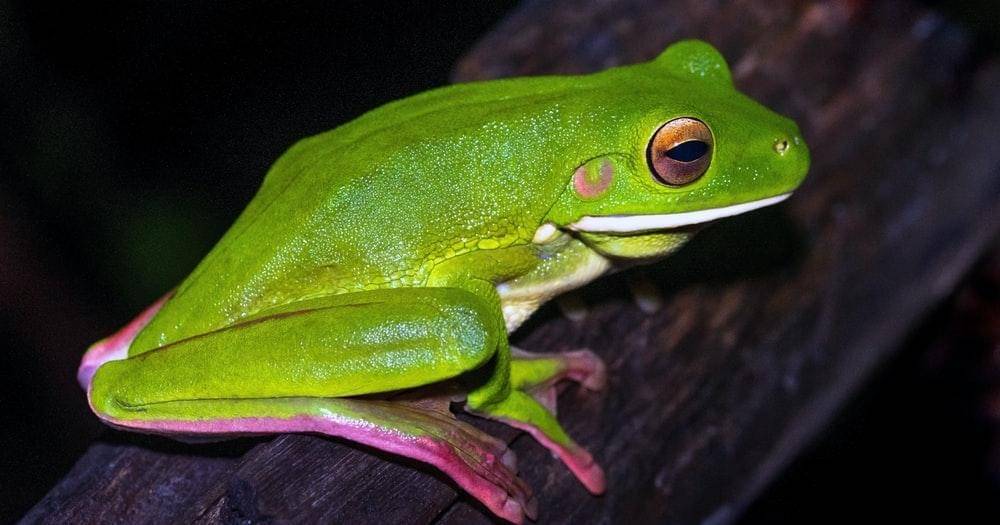 Unsplash/David Clode