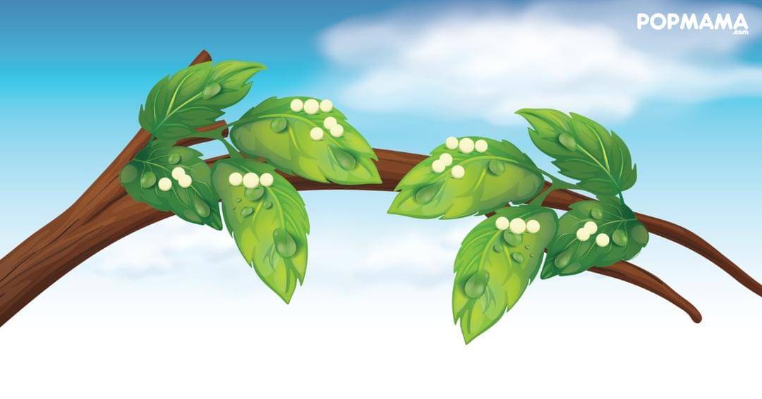 Popmama.com/Aristika Medinasari