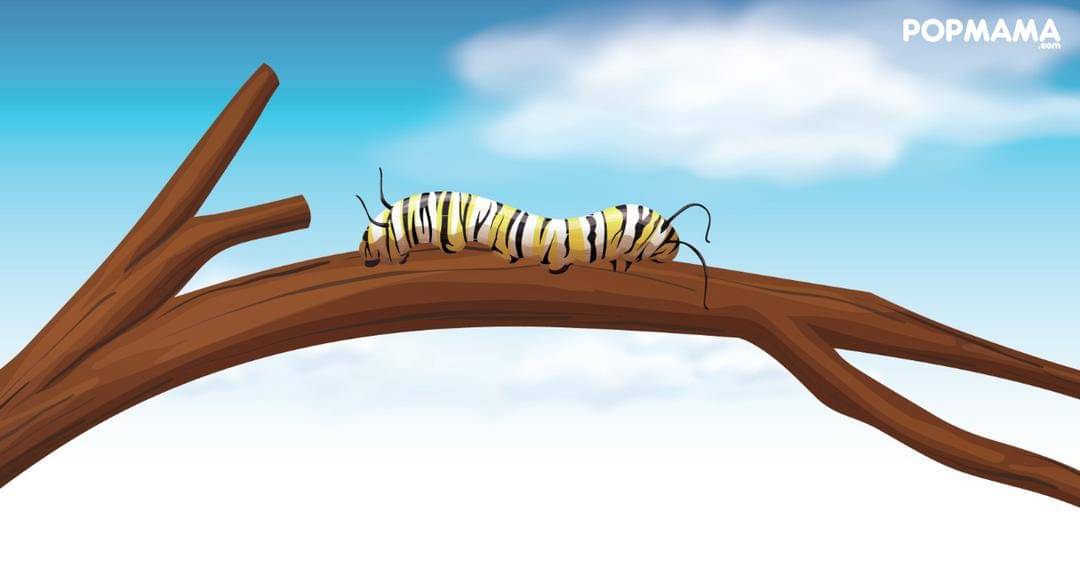 Popmama.com/Aristika Medinasari