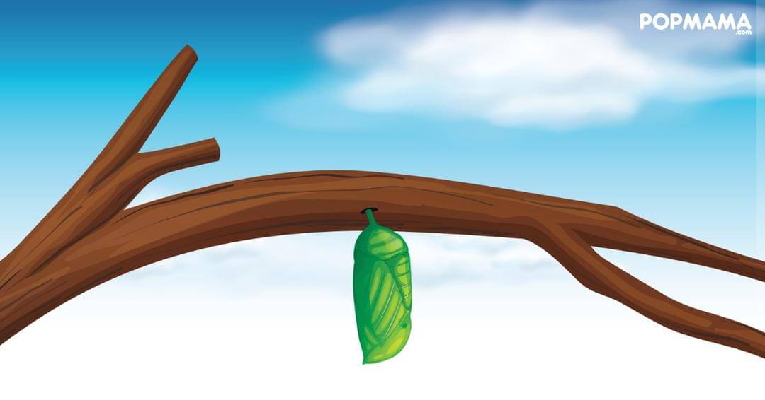 Popmama.com/Aristika Medinasari