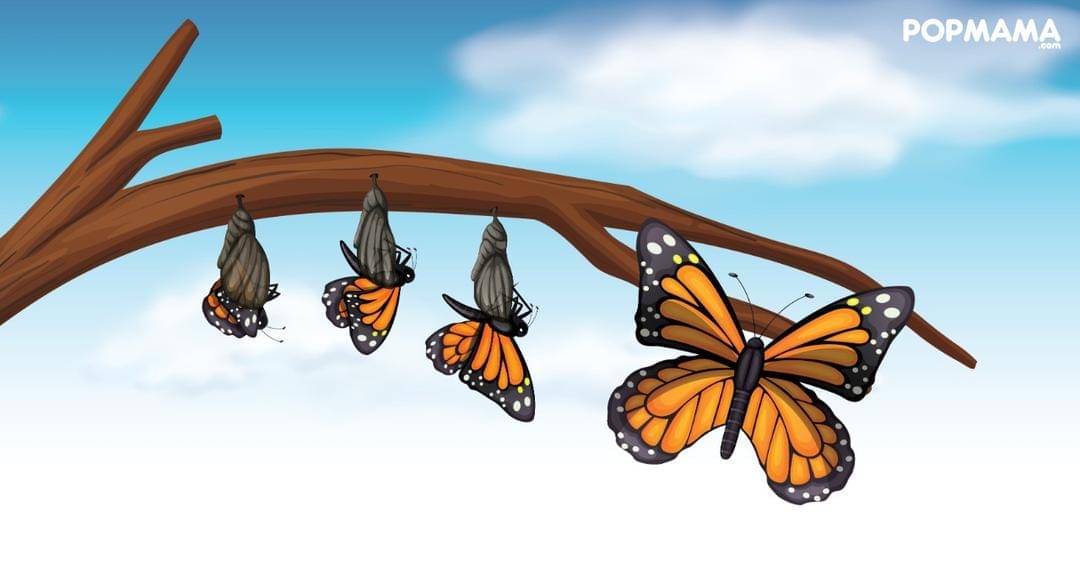 Popmama.com/Aristika Medinasari