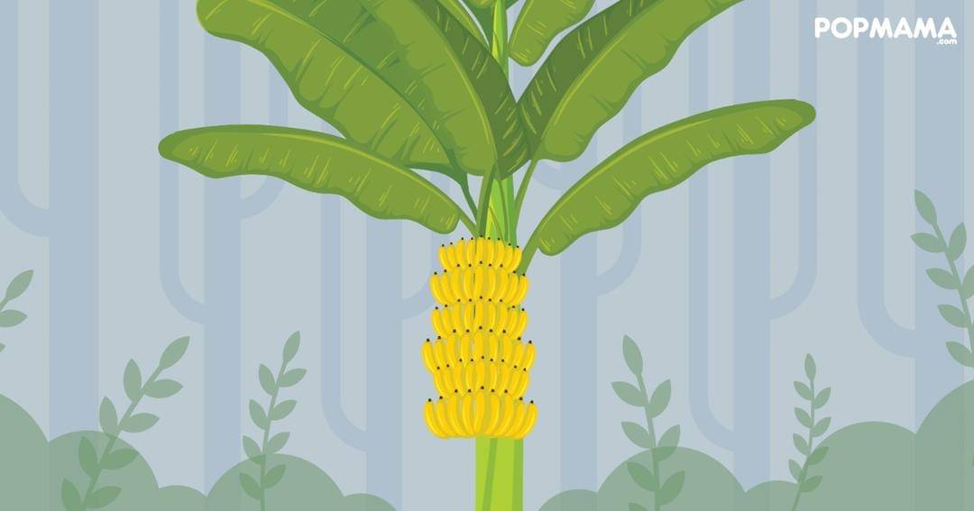 Popmama.com/Aristika Medinasari