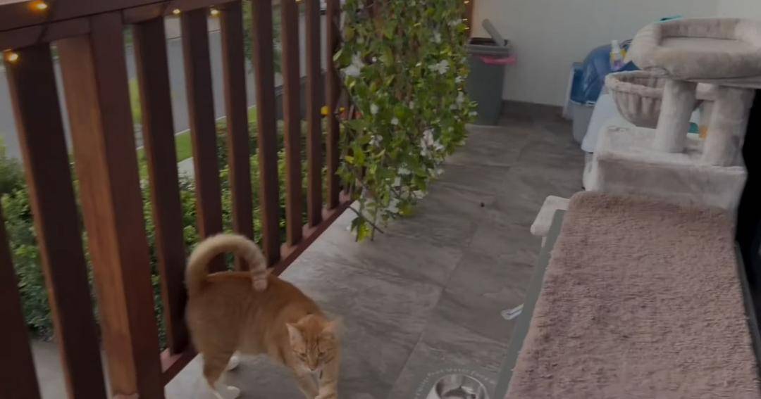 Youtube.com/The Connell Twins