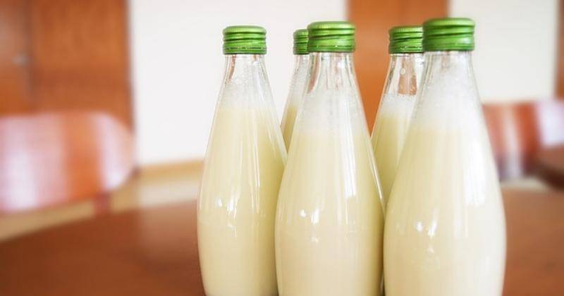 Pixabay/falovelykids