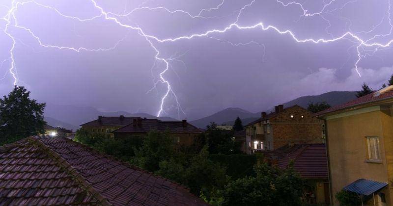 Pexels/Tsvetoslav Hristov