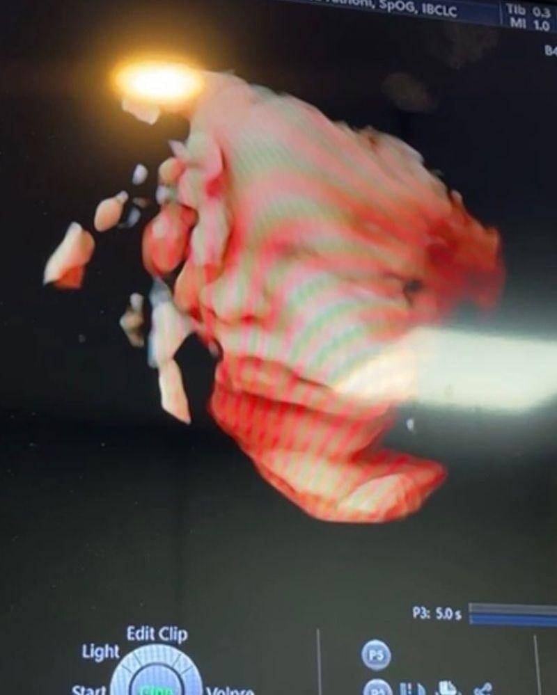 Instagram.com/nathalieholscher