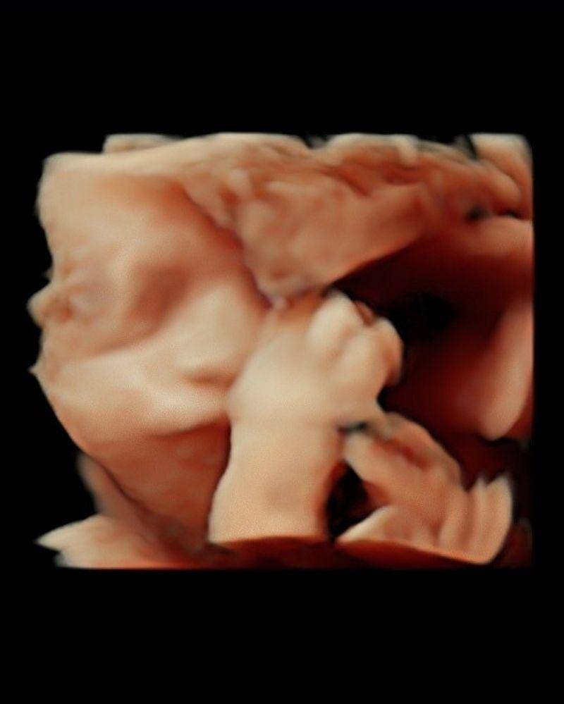 Instagram.com/vebbypalwinta