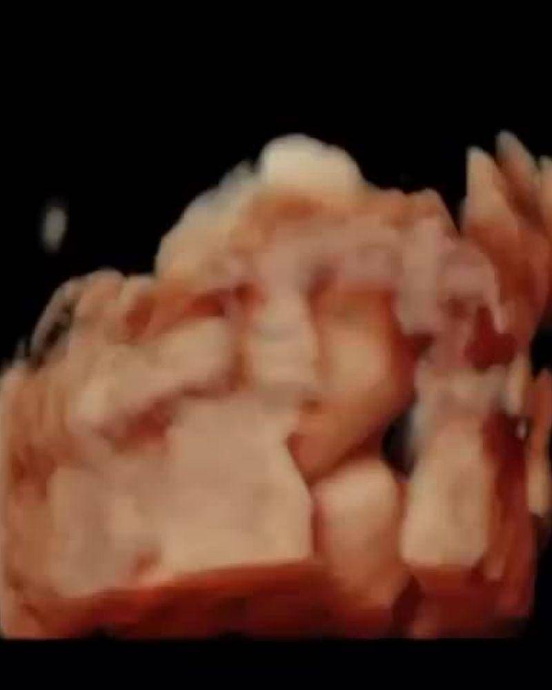 Instagram.com/yuanitachrist