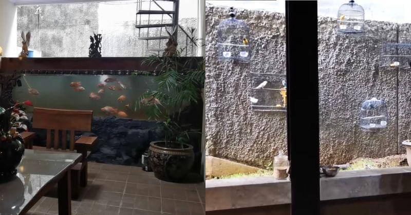 Youtube.com/Baim Paula