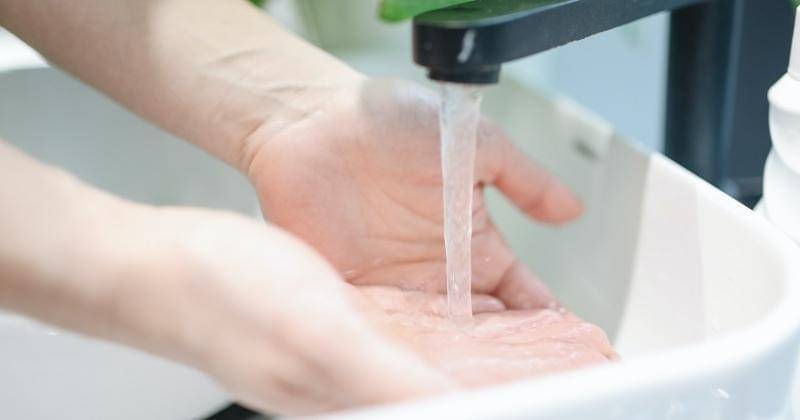 Pexels/Polina Tankilevitch