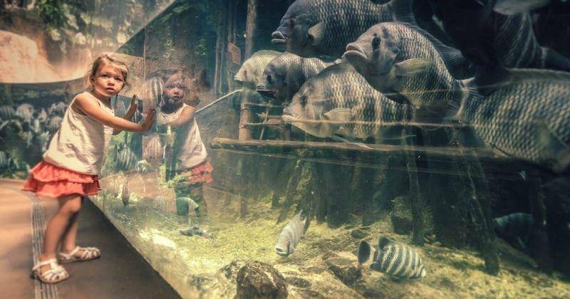 Pexels/ Andrzej Mucka