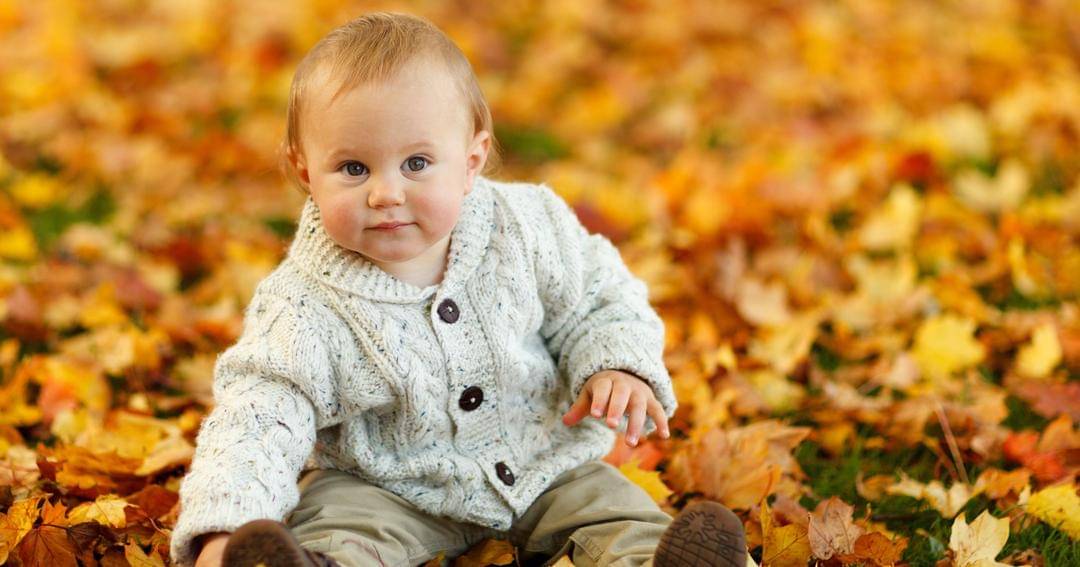 Pexels/Public Domain Pictures