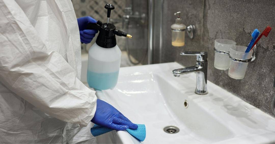 Pexels/Matilda Wormwood