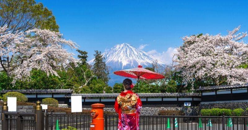 Freepik.com/tawatchai07