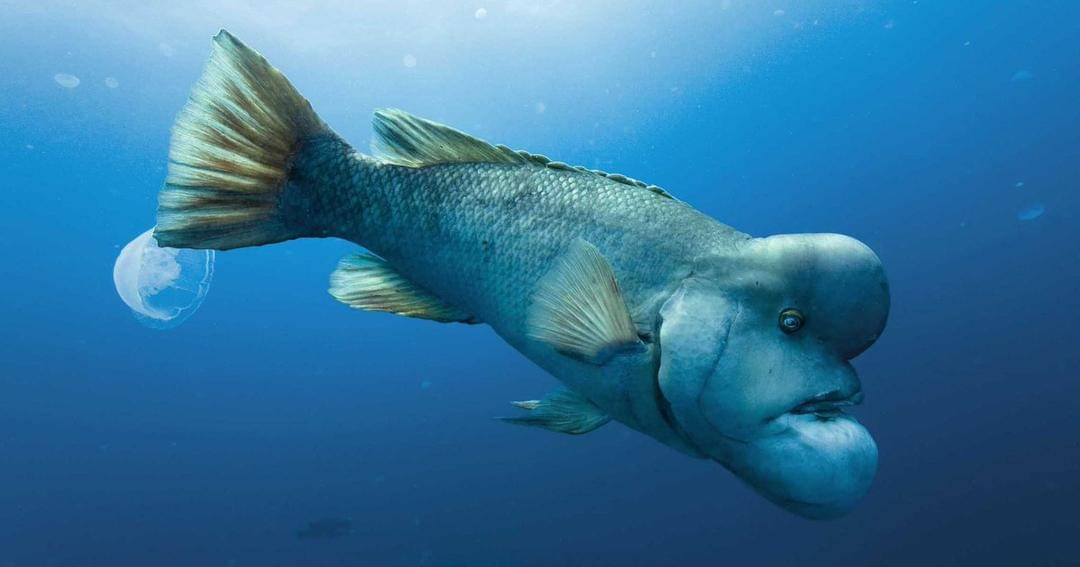 Twitter.com/rainmaker197