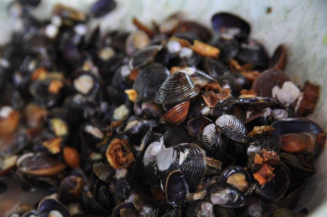 Instagram.com/Infosumbar