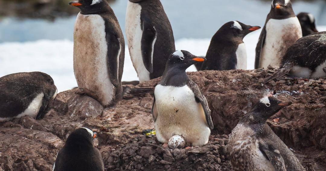 outdoorphotographer.com