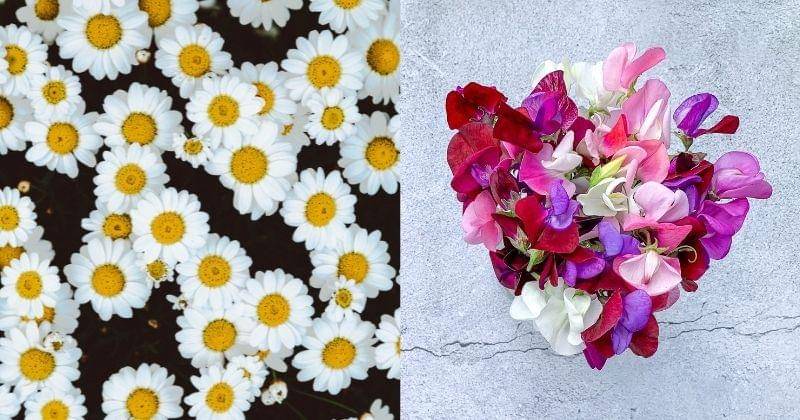 Freepik.com/wirestock