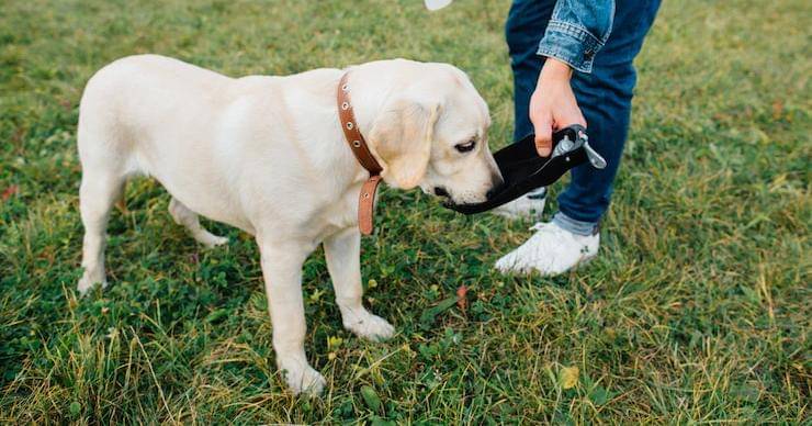 Freepik/Freepic-diller