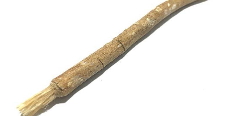 Pixabay/Gammarak-Ind