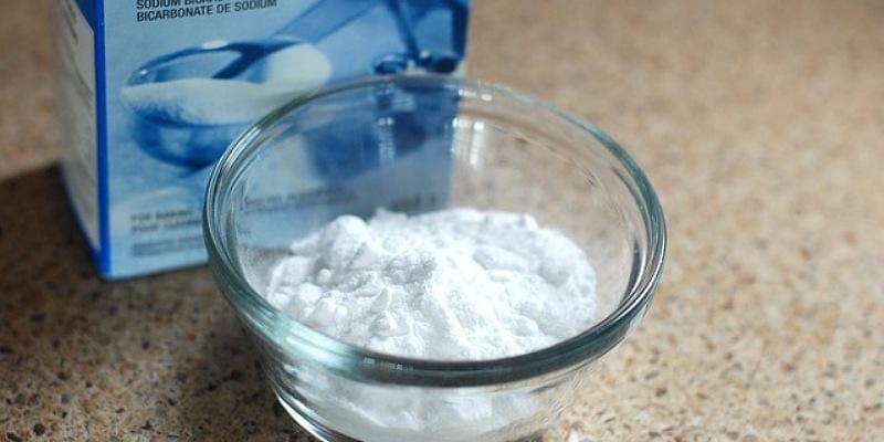 Pixabay/NatureFriend